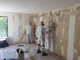 Best Biohazard Mold Removal  in Kirkl, IN